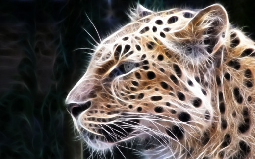 461476 (a): :1680x1050